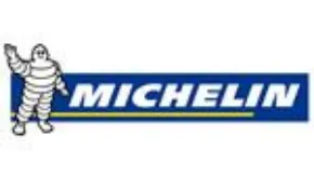 Picture for category Michelin