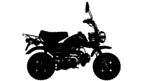 Picture for category Monkey