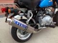 Picture of Honda Monkey Bike Z50 Blue - Registerable