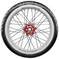 Picture of **PRE ORDER** Avon Cobra Chrome AV91 White Wall MT90B16 Front **ETA OCTOBER 2026**